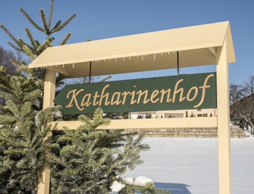 Zahlreiche interessierte Besucher bei unserem winterlichen Hoffest!